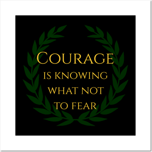 Courage is knowing what not to fear. Posters and Art